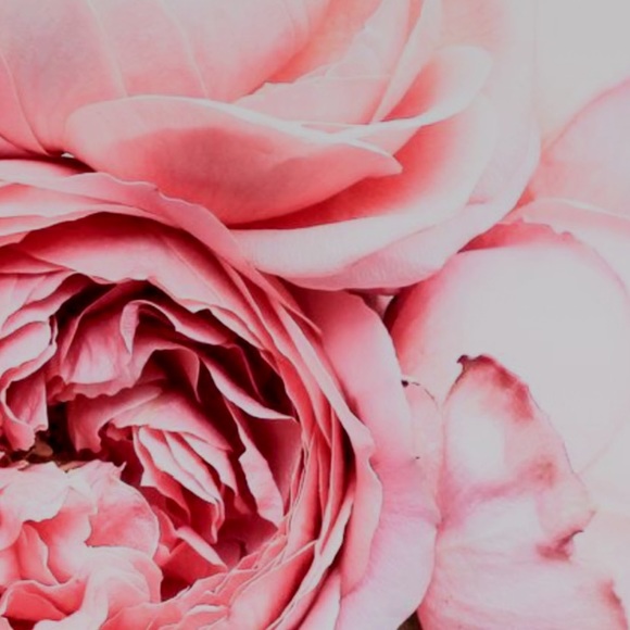 Meet your Posher, Danielle - Picture 1 of 1